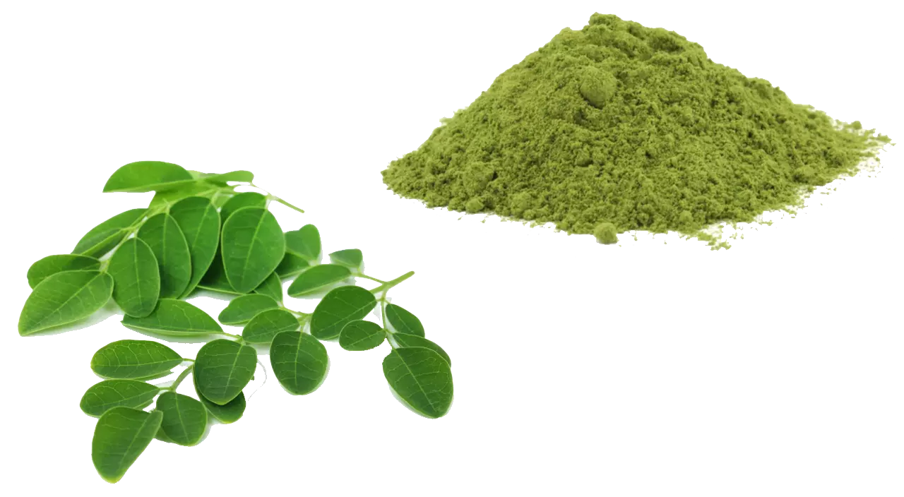 Loose moringa leaf capsules with powder